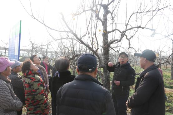 徐州市农学会组织专家赴大庙街道开展技术培训-定稿722.png