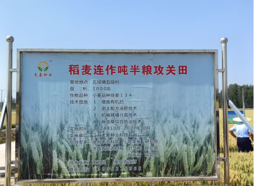 徐州吨半粮攻关小麦示范产量取得突破316.png