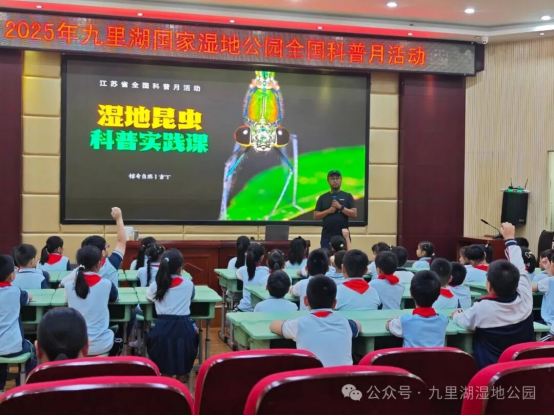发现昆虫之美  探寻湿地奥秘39.png
