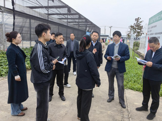 江苏省科协农村中心主任张杰一行赴邳州市大庄农业科技小院调研科技助农工作26.png