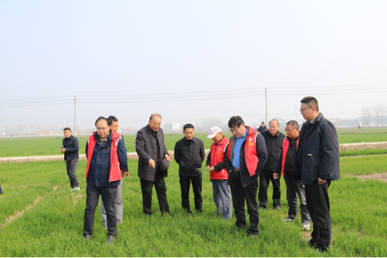 徐州市科协现代农业领域学会联合体开展小麦春管科技志愿服务1246.png
