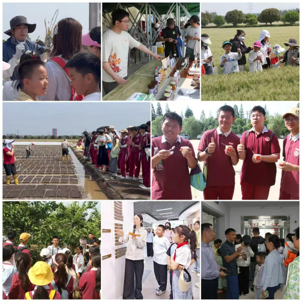 市农学会成功举办“农科润童心・科普向未来”农业科普活动(1)201.png 市农学会成功举办“农科润童心・科普向未来”农业科普活动(1)201.png