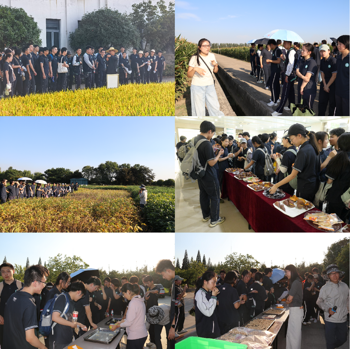图片19.png 图片19.png